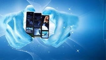 品牌巧借電商達人種草，智鵲網強勢助攻互聯網銷售